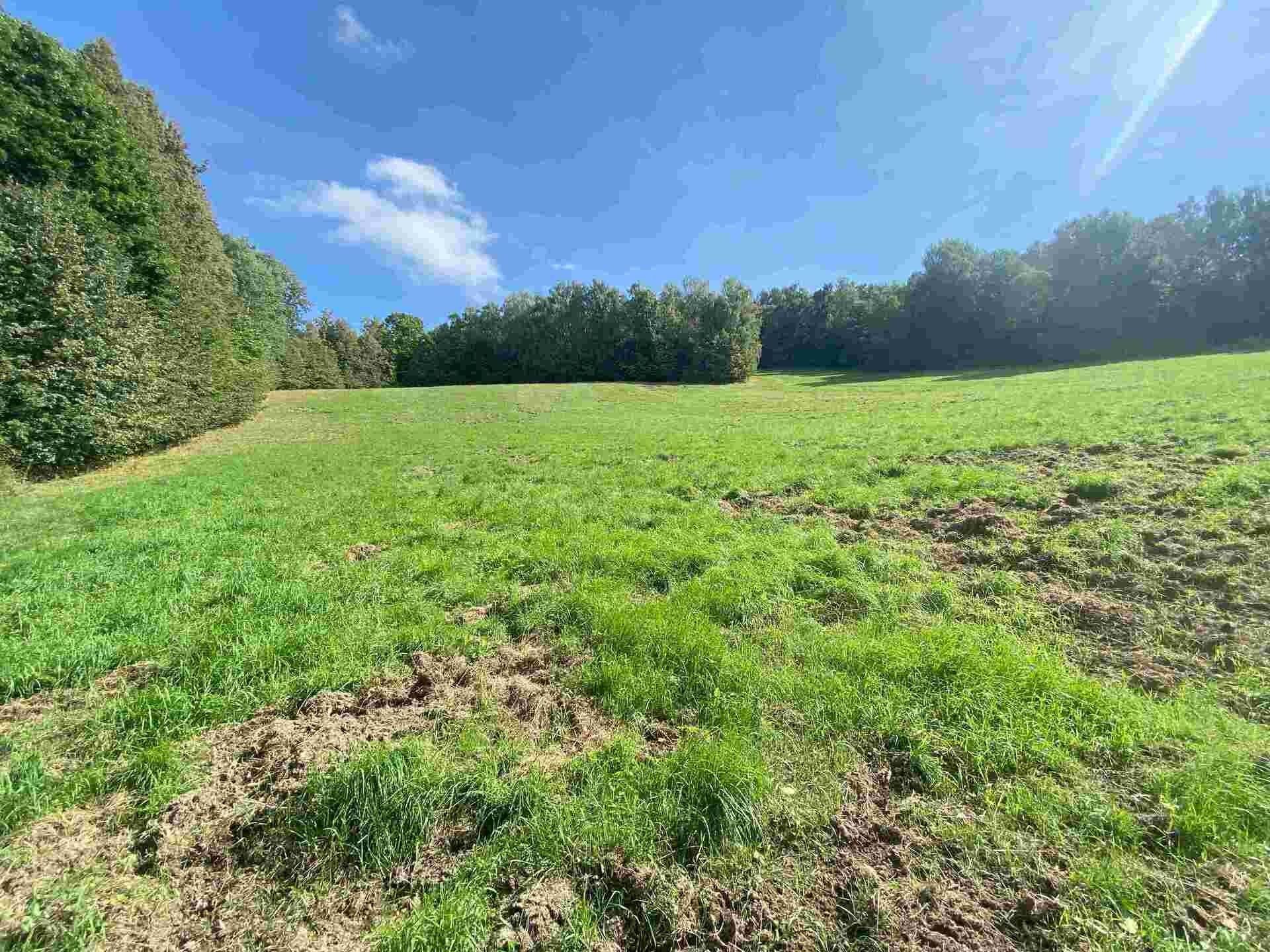 Prodej pozemek - Sobotín, 10 m²