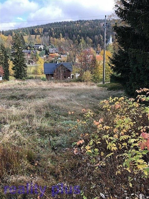 Prodej louka - Bedřichov, okres Jablonec nad Nisou, Liberecký kraj - 5