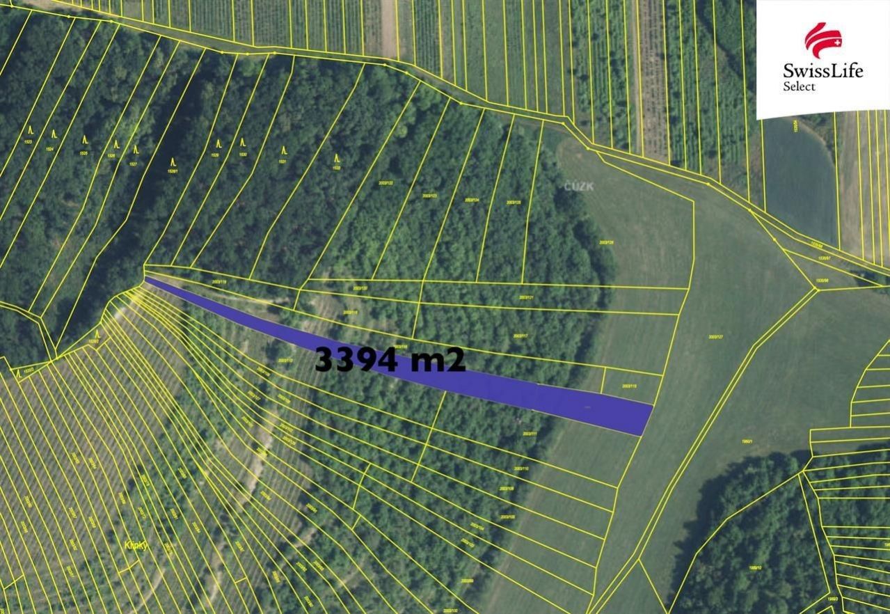 Komerční pozemky, Brumovice, 3 394 m²