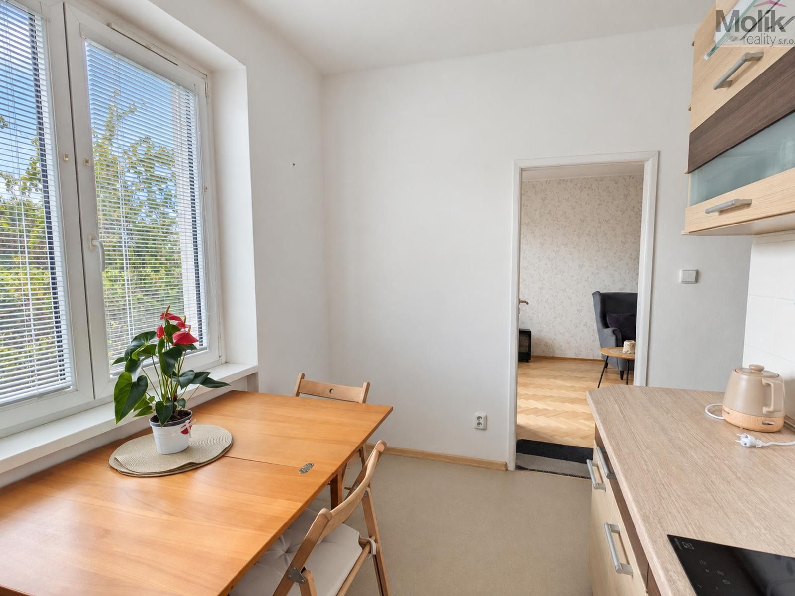 Byt 2+1 · 49 m² · Josefa Suka, Teplice - 4