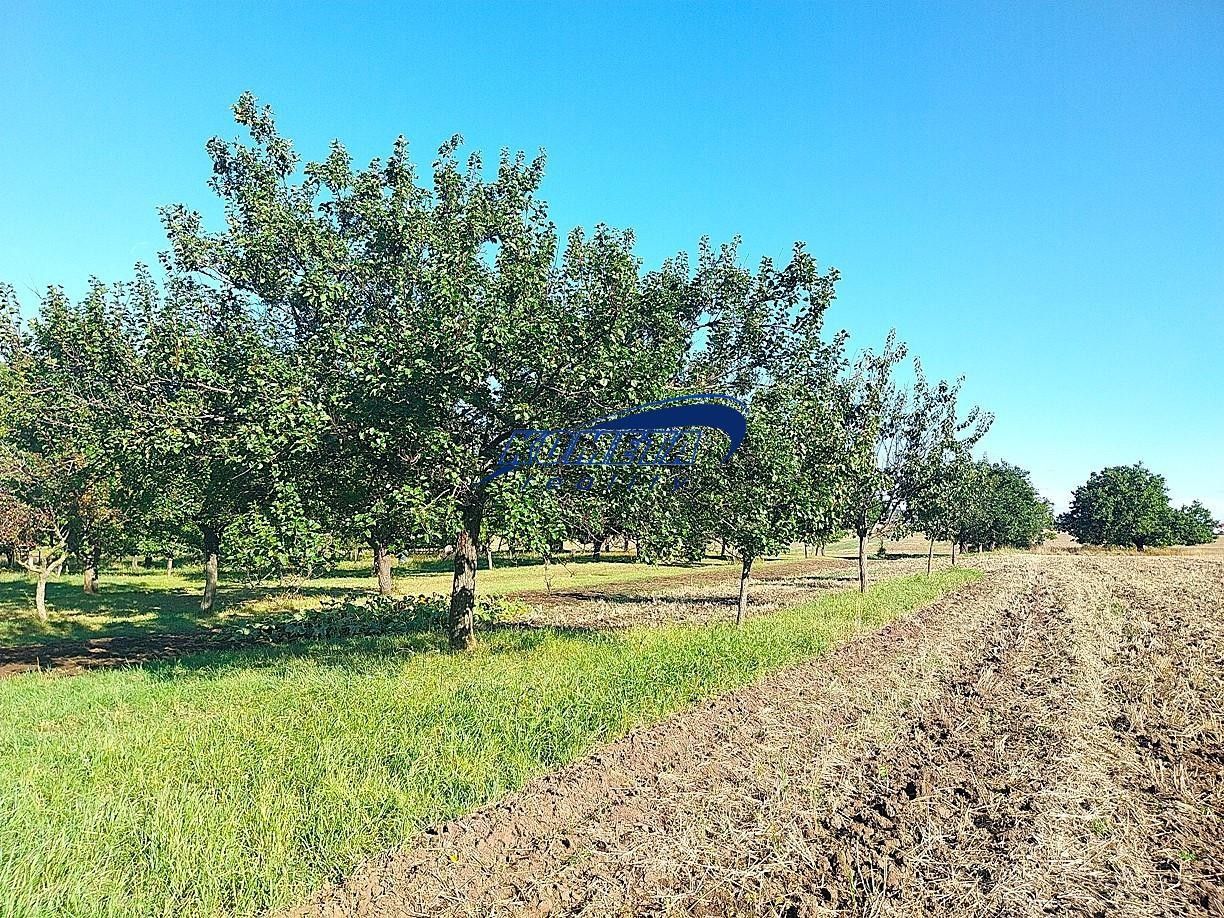 Zahrady, Starovice, 1 158 m²