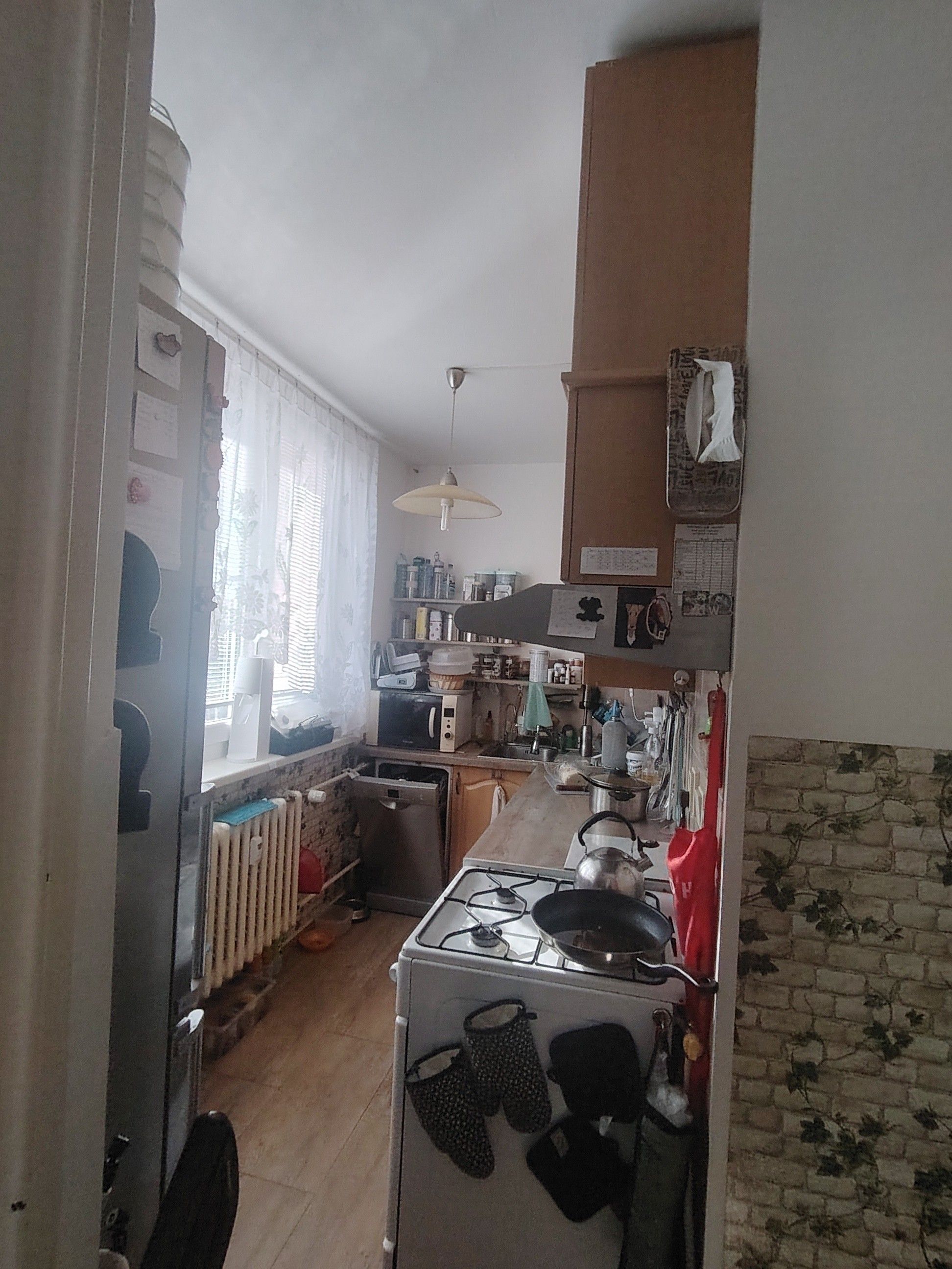 Prodej byt 2+kk - Ostružinová, Brno, 46 m²