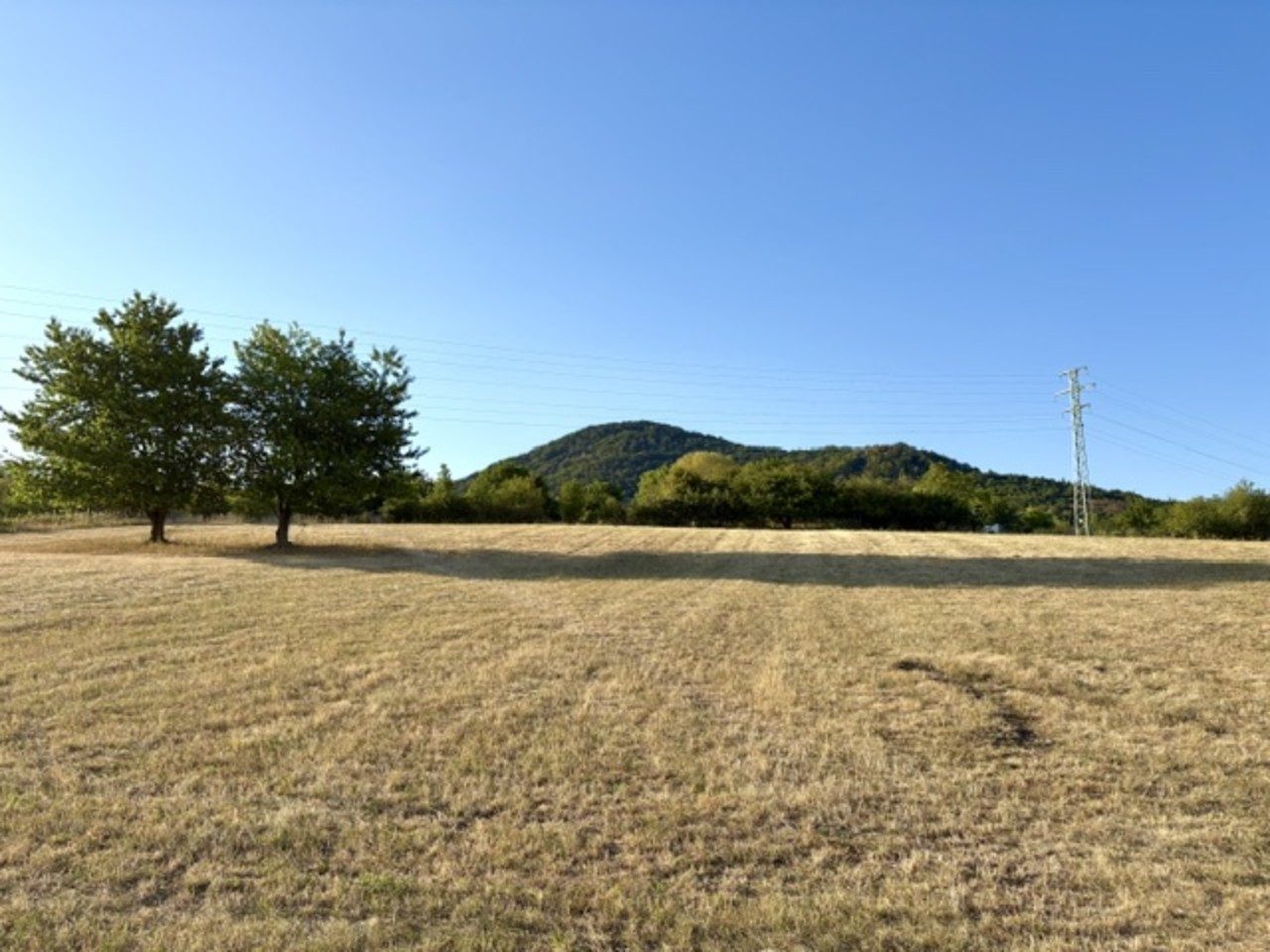Pozemek pro bydlení · 2 031 m² · Žitenice Pohořany - 4
