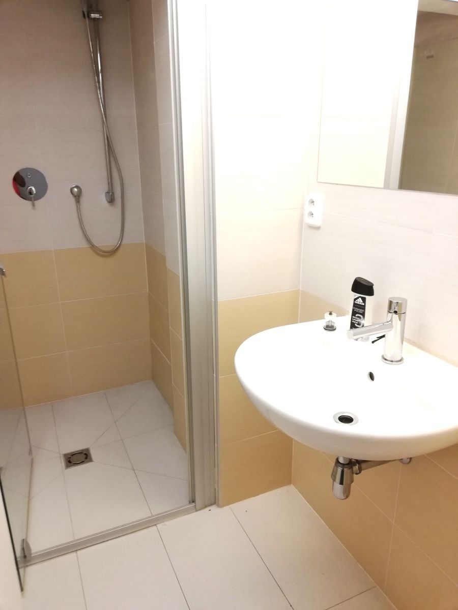 Pronájem byt 2+1 - Na Třebešíně, Praha - Strašnice, 88 m² - 5