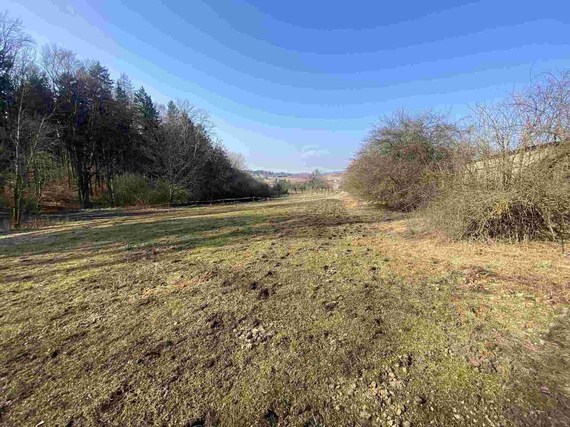 Pozemek · 1 443 m² · Syřenov - 4
