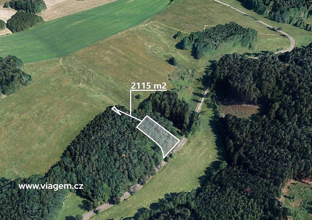 Lesy, Dubnice, okres Česká Lípa, Liberecký kraj - 1