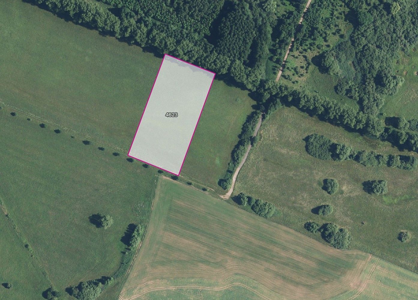 Louky, Dvůr Králové nad Labem, okres Trutnov - 1