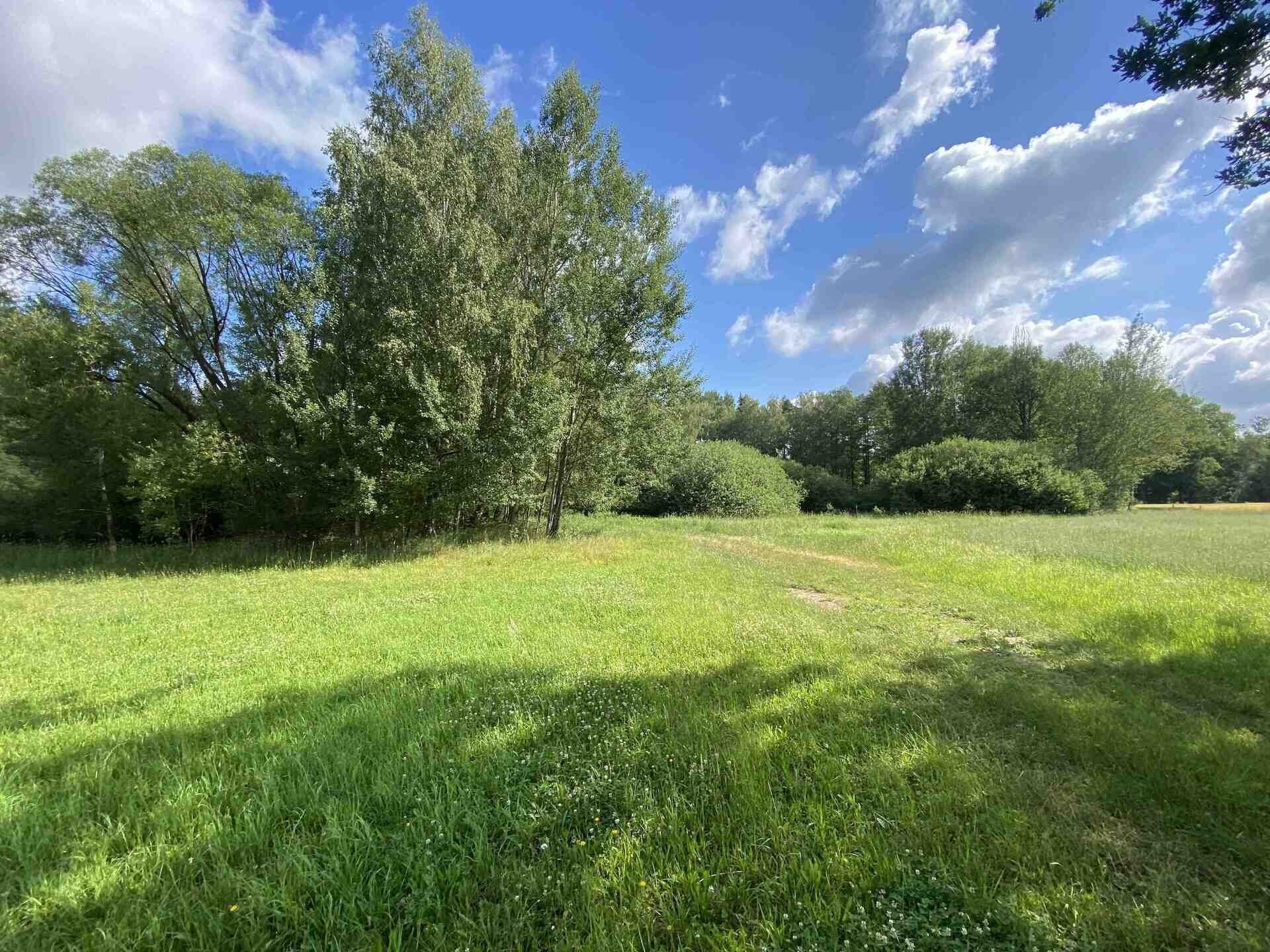 Rybníky, Trhové Sviny Otěvěk, 10 951 m²