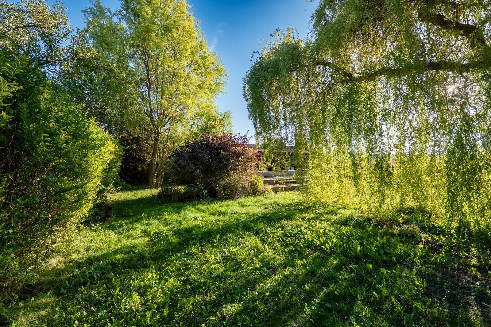 Pozemek pro bydlení, 538 m²