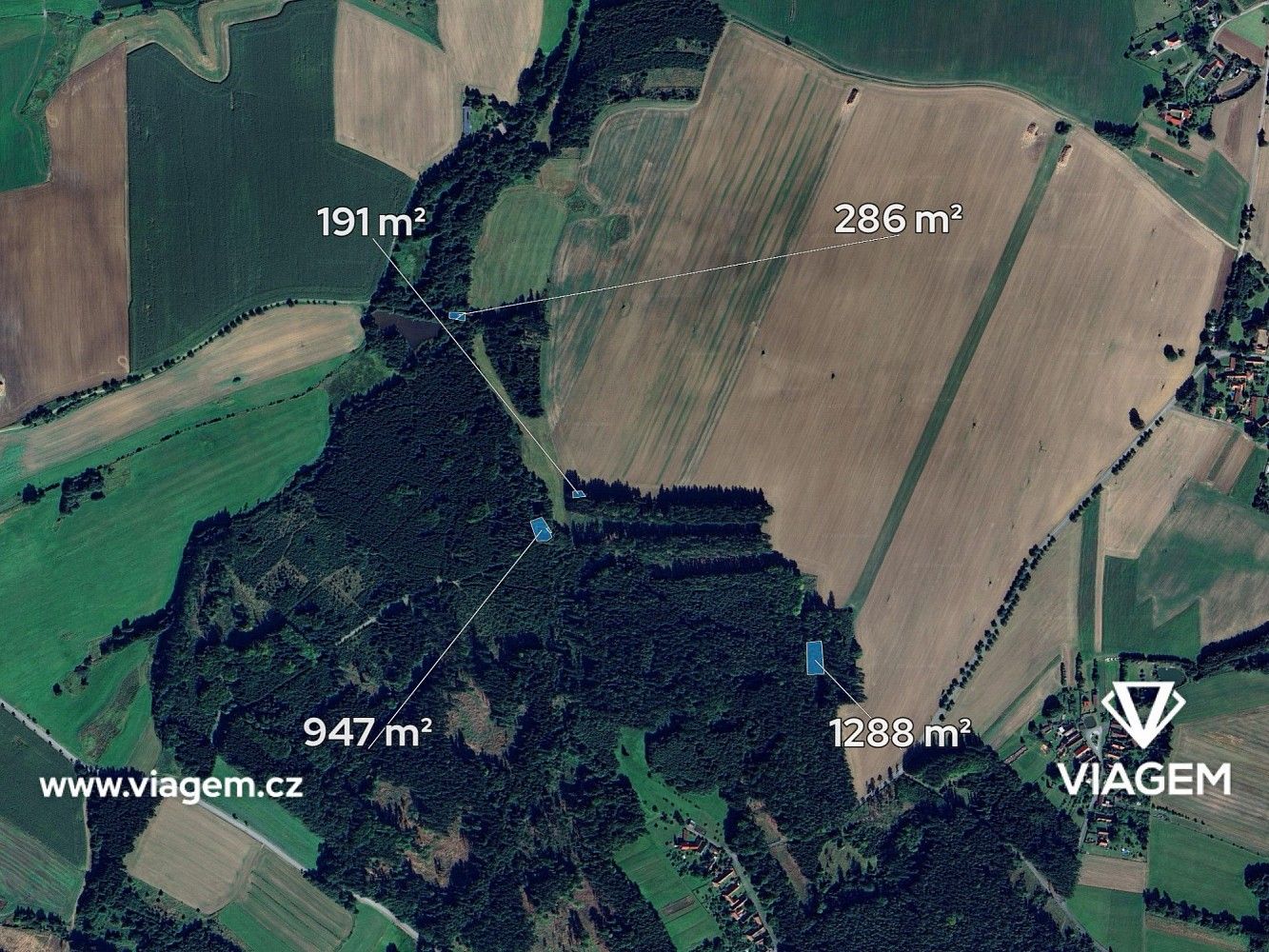 Les · Vyklantice, okres Pelhřimov, Kraj Vysočina - 2