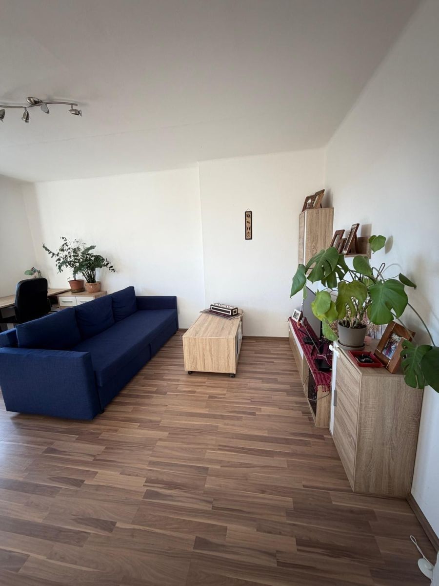 Byt 2+1 · 53 m² · Pod Lipami, Praha - Žižkov - 4