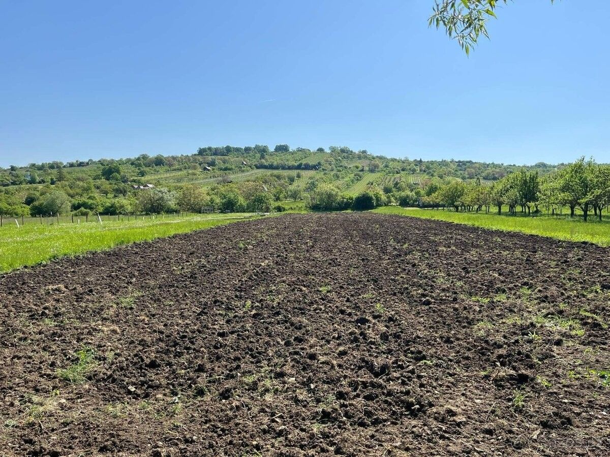 Zahrady, Strážnice, 696 62