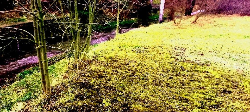 Prodej pozemek pro bydlení - Děčín, 405 02