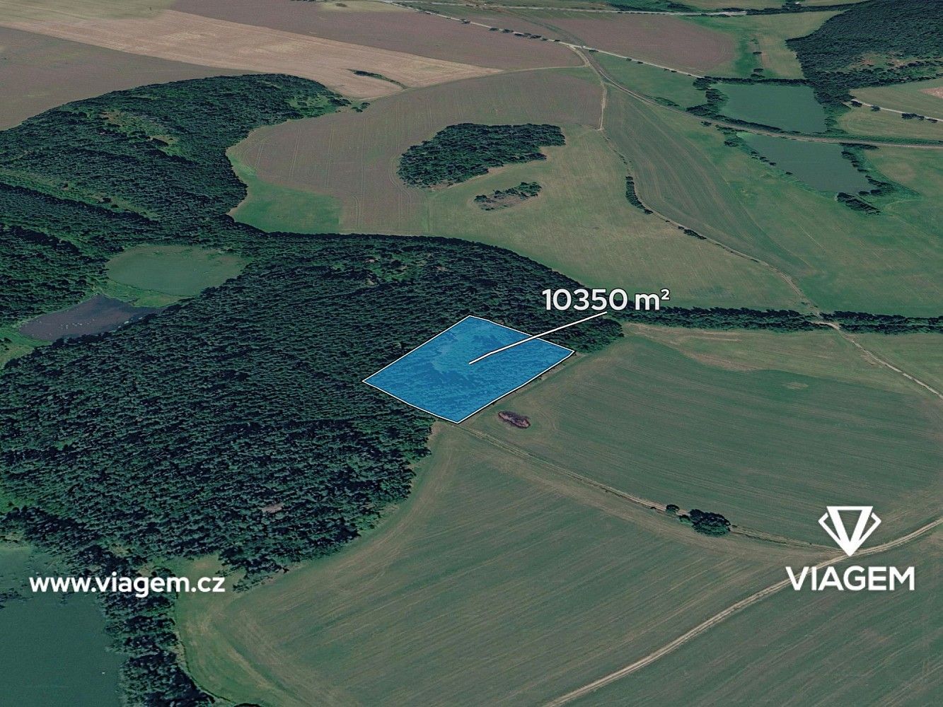 Les · Kardašova Řečice, okres Jindřichův Hradec, Jihočeský kraj - 1