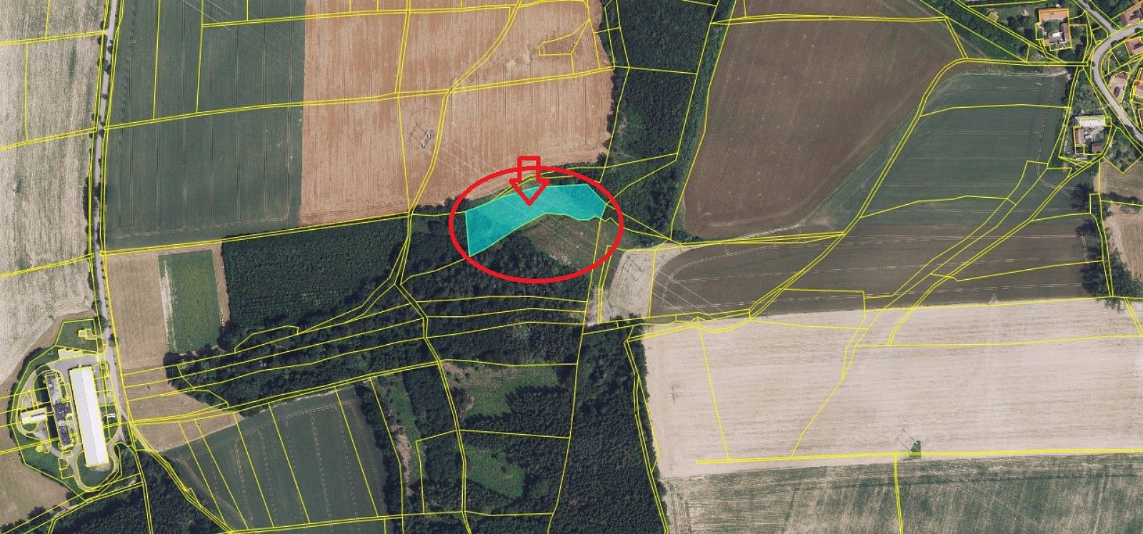 Lesy, Zádolí - Dolní Podluží, okres Ústí nad Orlicí, Pardubický kraj - 2