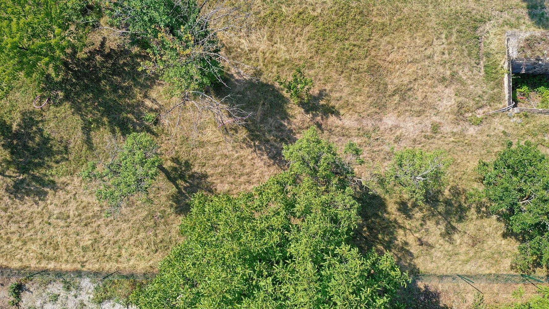 Prodej zahrada - Brno - Brněnské Ivanovice, okres Brno-město, Jihomoravský kraj - 5