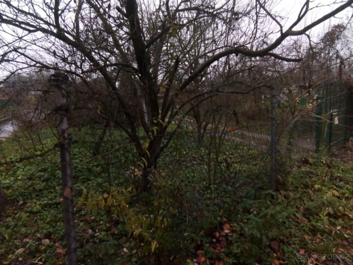 Prodej zahrada - Šumperk, 787 01