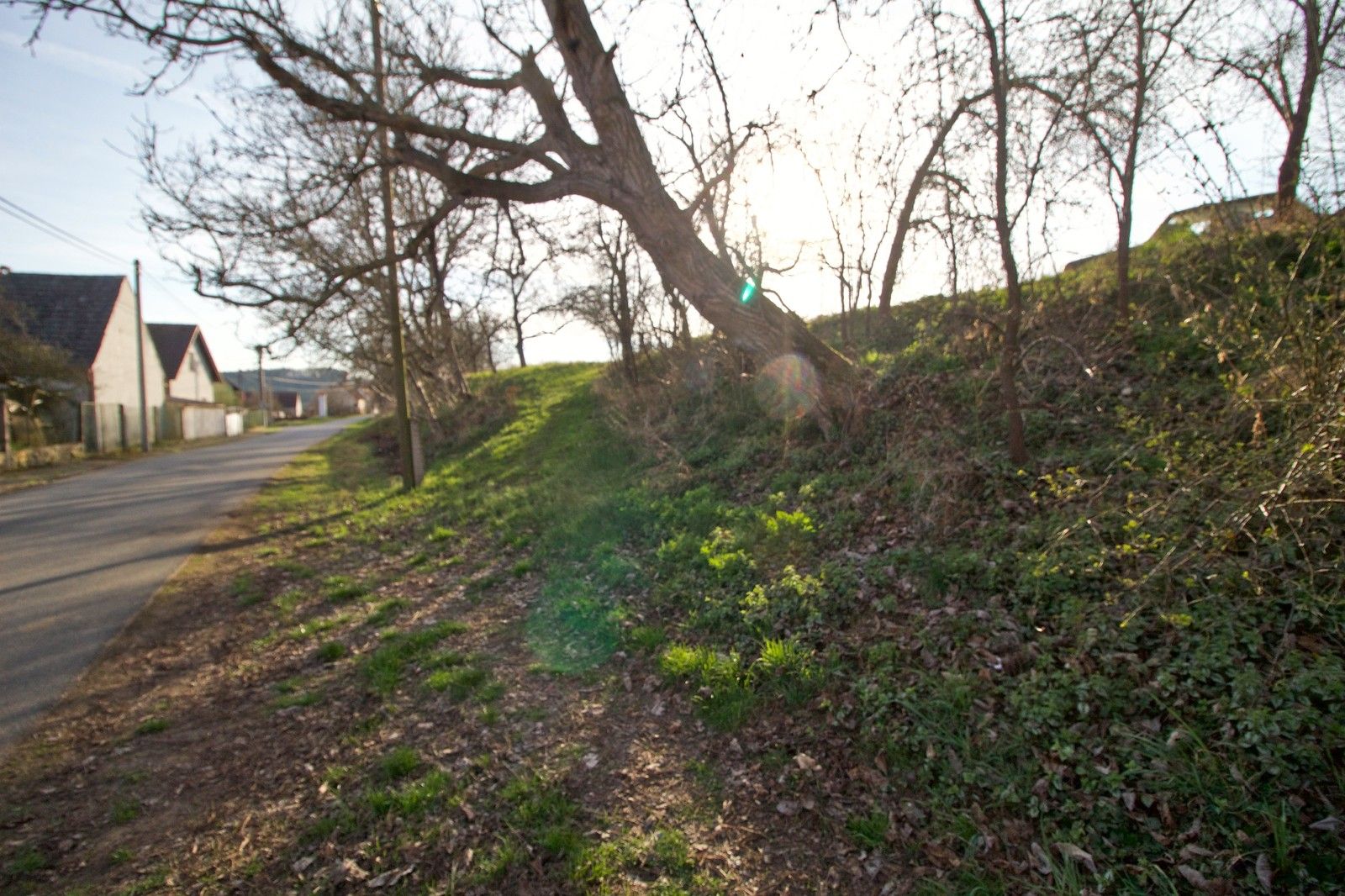 Prodej pozemek pro bydlení - Ptenín, 620 m² - 5