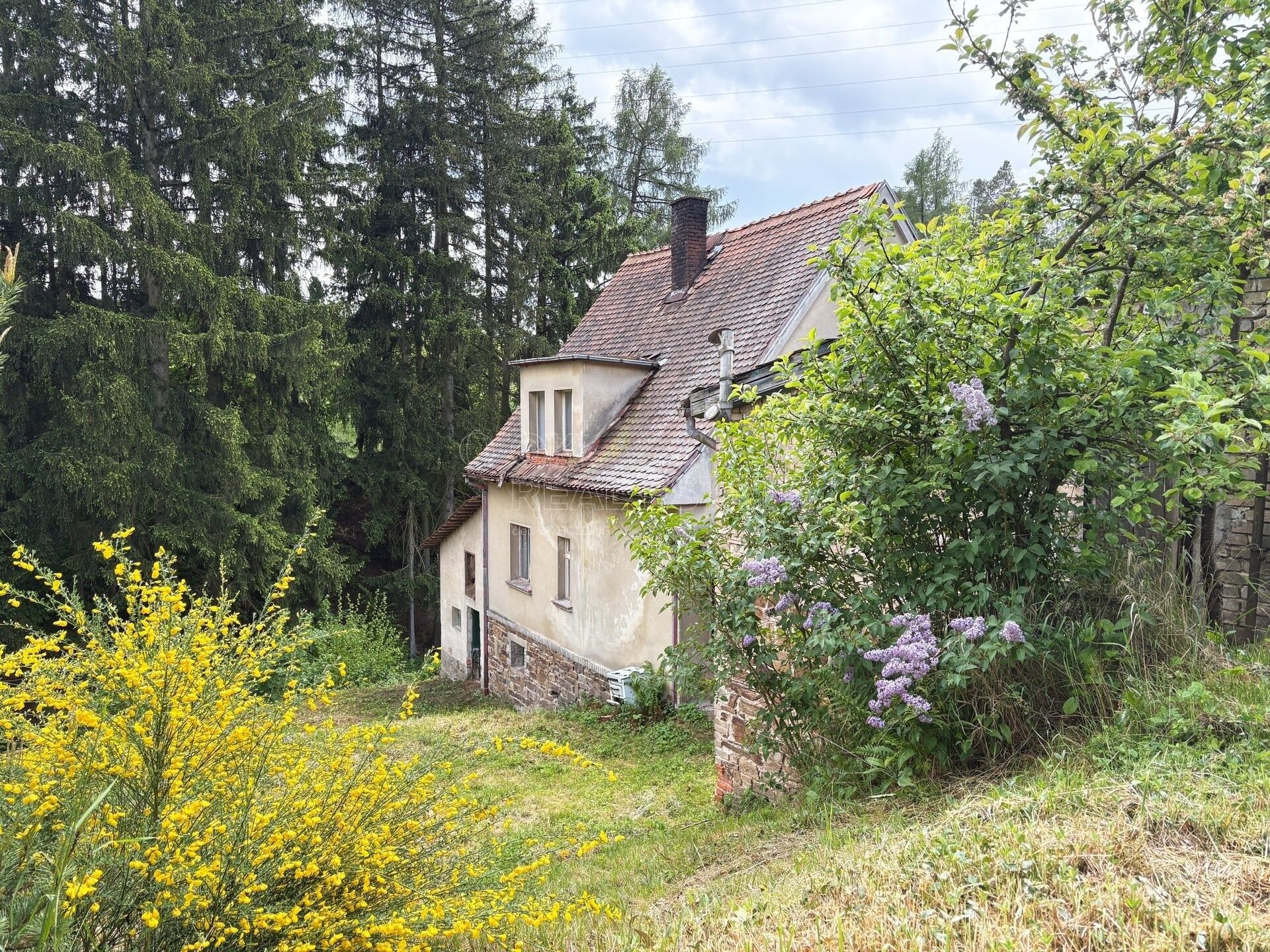Rodinné domy, Úžice Radvanice, 200 m² - 1