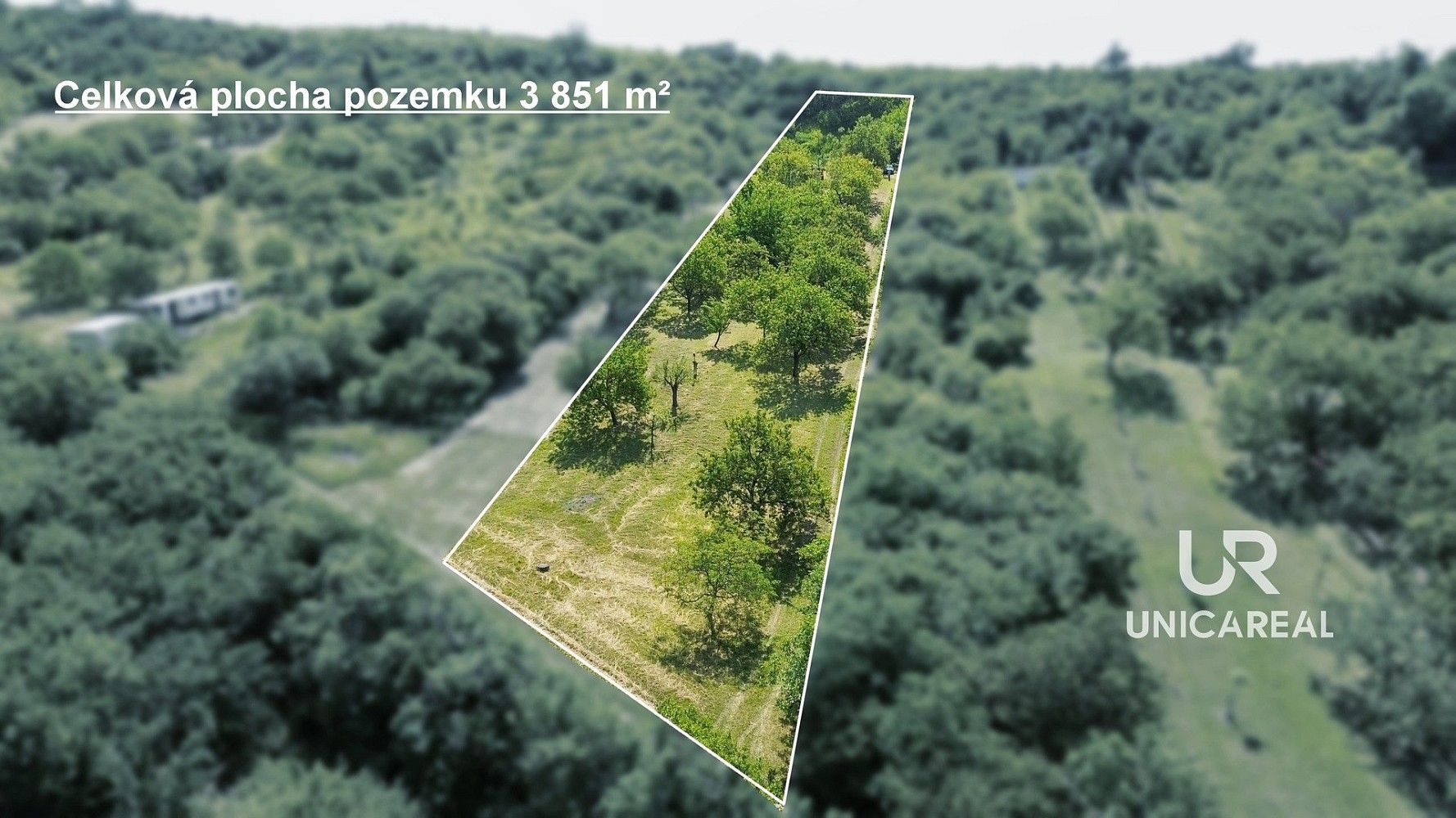 Prodej zemědělský pozemek - Židlochovice, okres Brno-venkov, Jihomoravský kraj - 5