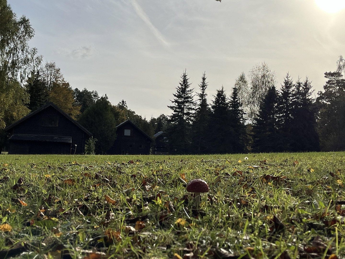 Chata · 400 m² · , Mecklenburg-Vorpommern - 3