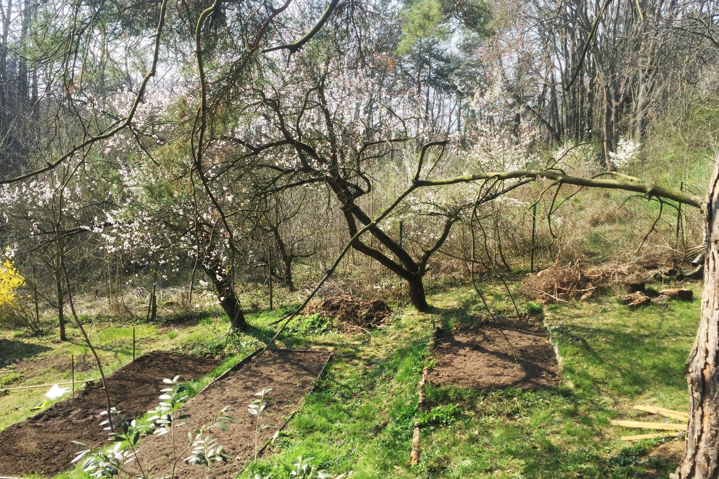 Prodej pozemek pro bydlení - Jenštejn, 725 m²