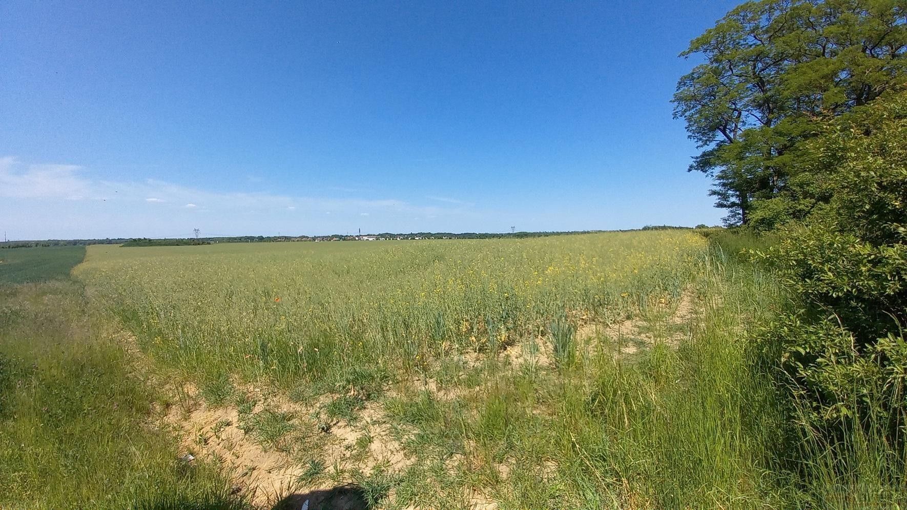 Zemědělský pozemek · 3 118 m² · Říčanská, Čestlice - 3
