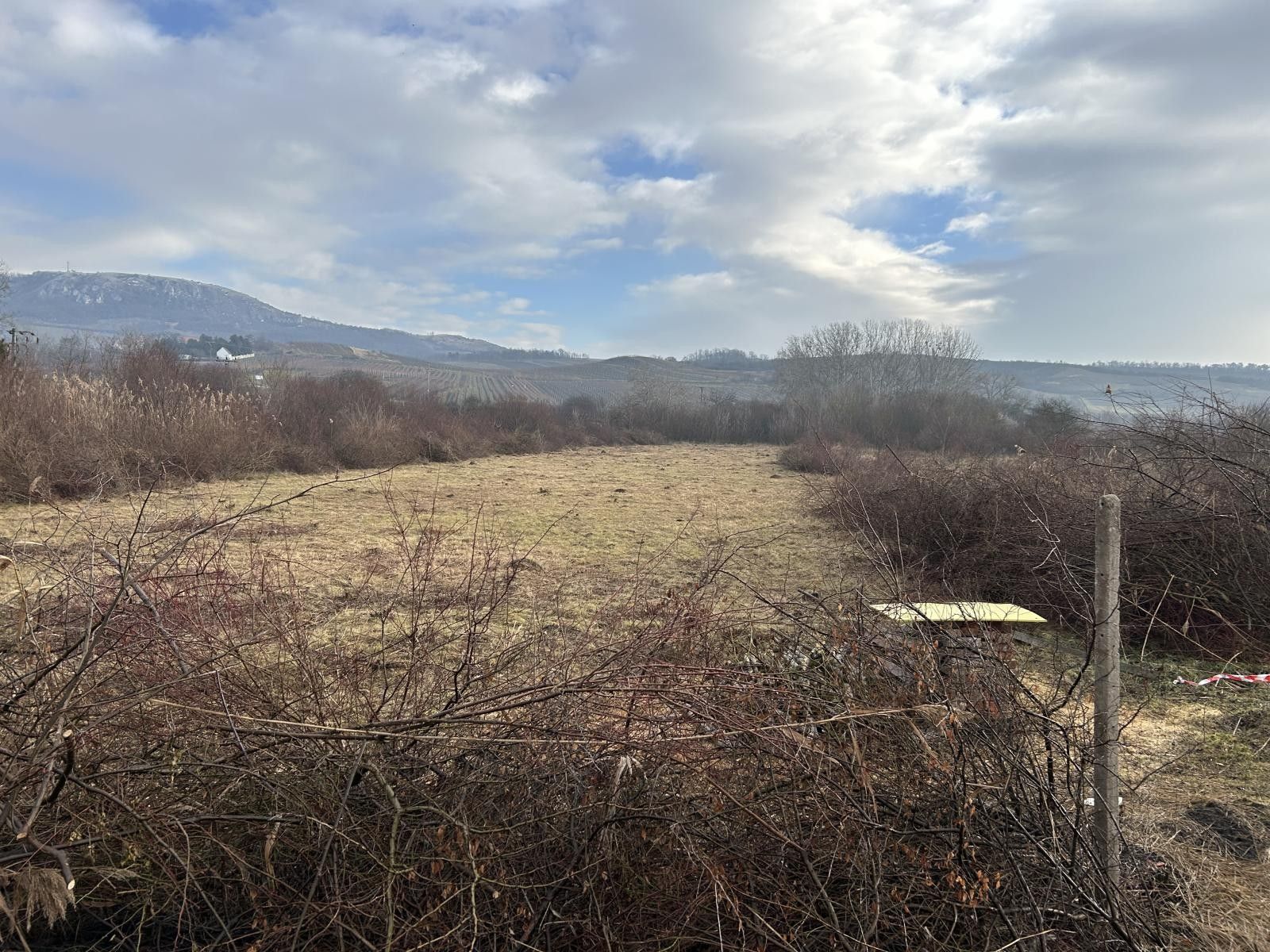 Prodej zemědělský pozemek - Bavory, 4 009 m²