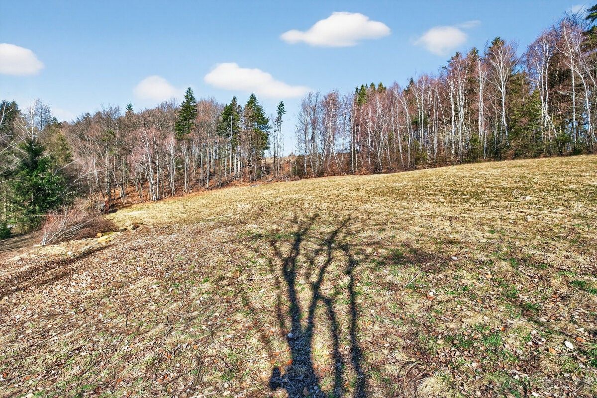 Pozemek pro bydlení · Vsetín, 755 01 - 4