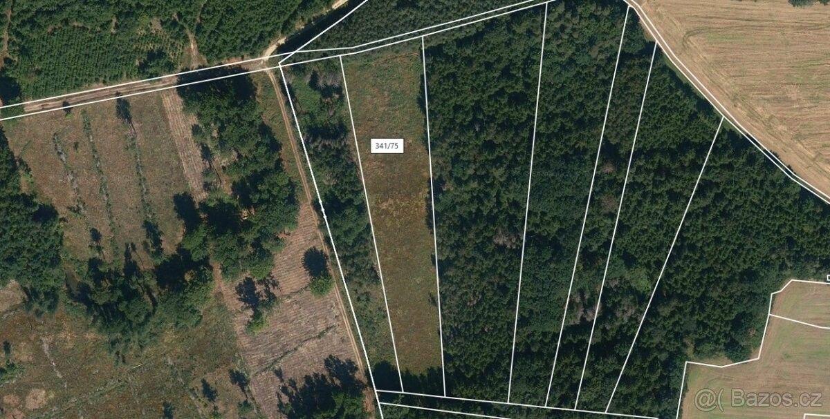 Pozemky pro bydlení, Bernartice u Milevska, 398 43