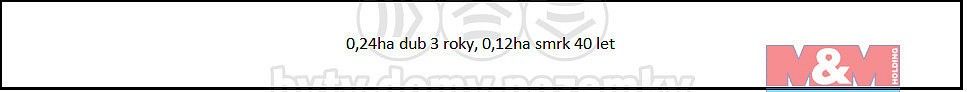 Les · Malý Bor, okres Klatovy, Plzeňský kraj - 4