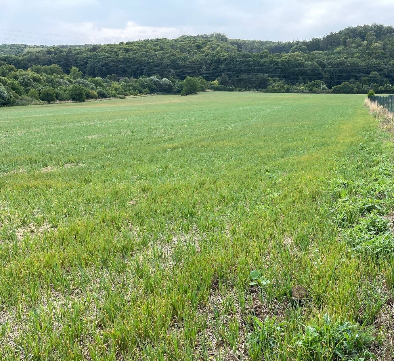 Pozemek pro bydlení · 740 m² · Česká - 4