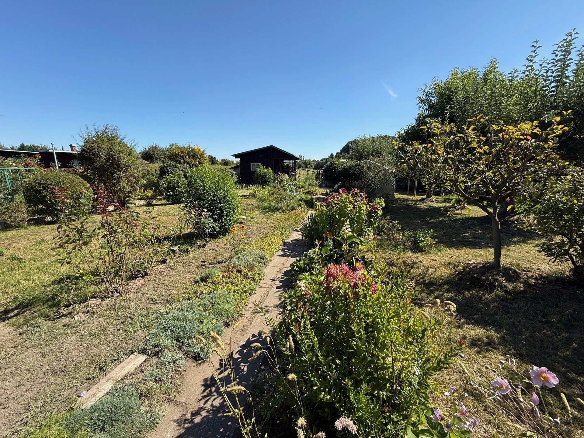 Prodej ostatní - U Koupaliště, Choceň, 412 m²