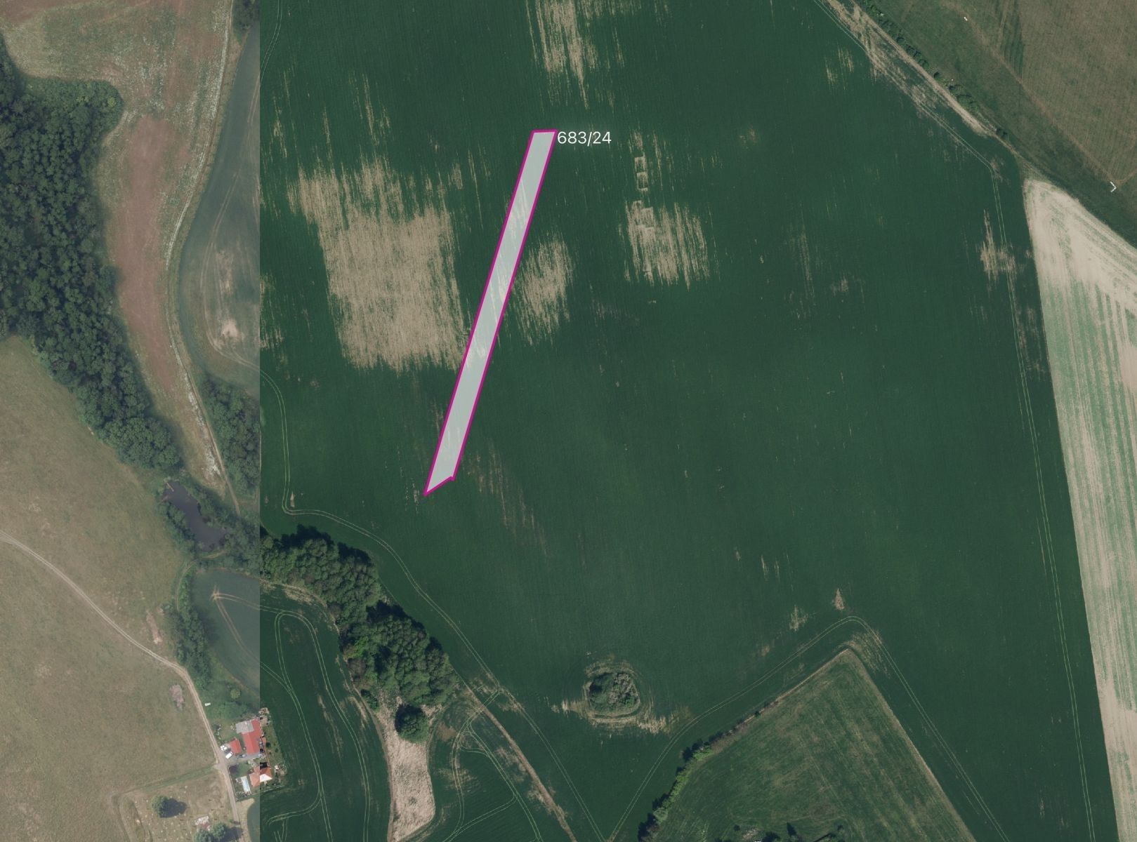 Prodej zemědělský pozemek - Podhořany u Ronova - 1