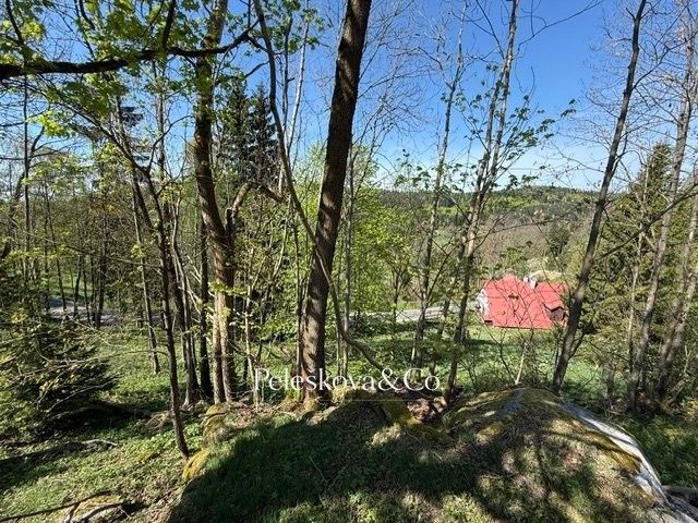 Prodej pozemek pro bydlení - Kořenov, 12 296 m² - 5