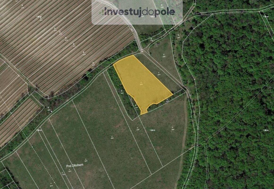 Prodej louka - Březí u Mikulova, 691 81, 5 123 m²