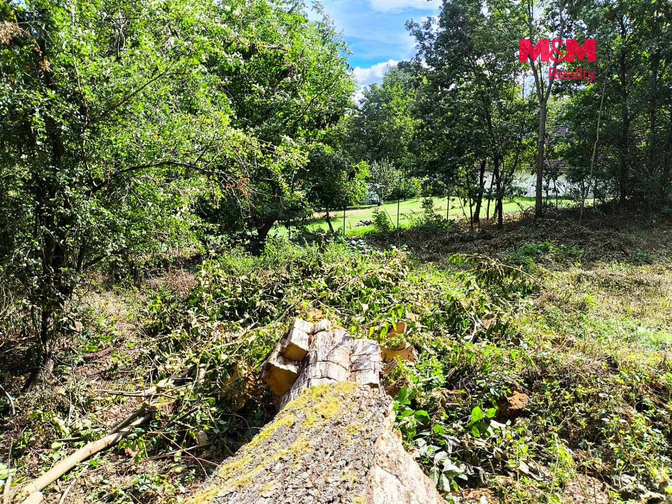 Prodej pozemek pro bydlení - Čejetice - Sedlíkovice, okres Strakonice - 5