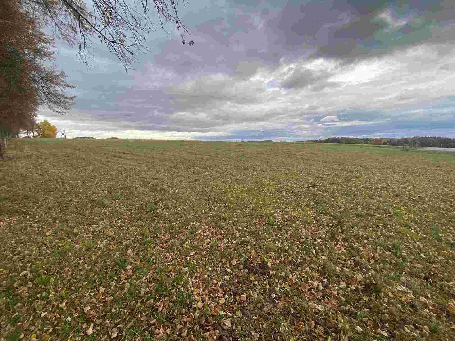 Prodej komerční pozemek - Strážkovice, 4 m²