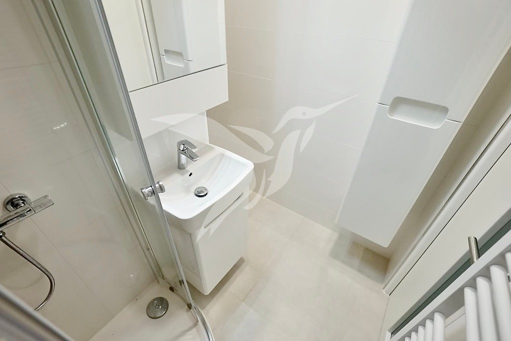 Prodej byt 1+kk - Hodonínská 1057, Plzeň Severní Předměstí, 31 m² - 5