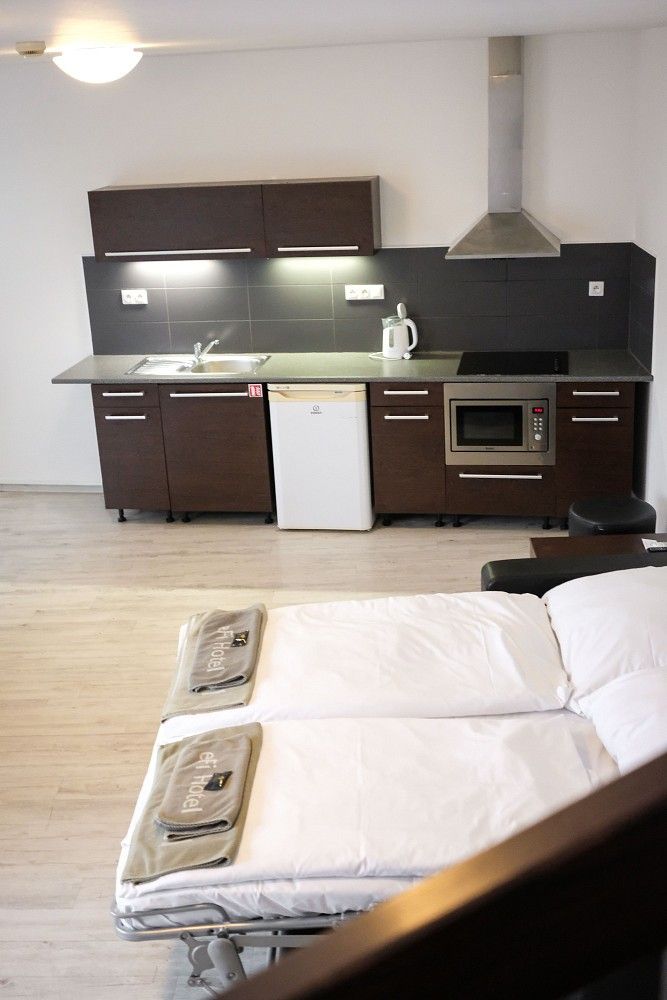 Pronájem byt 2+kk - Bratislavská, Brno - Zábrdovice, 100 m² - 5