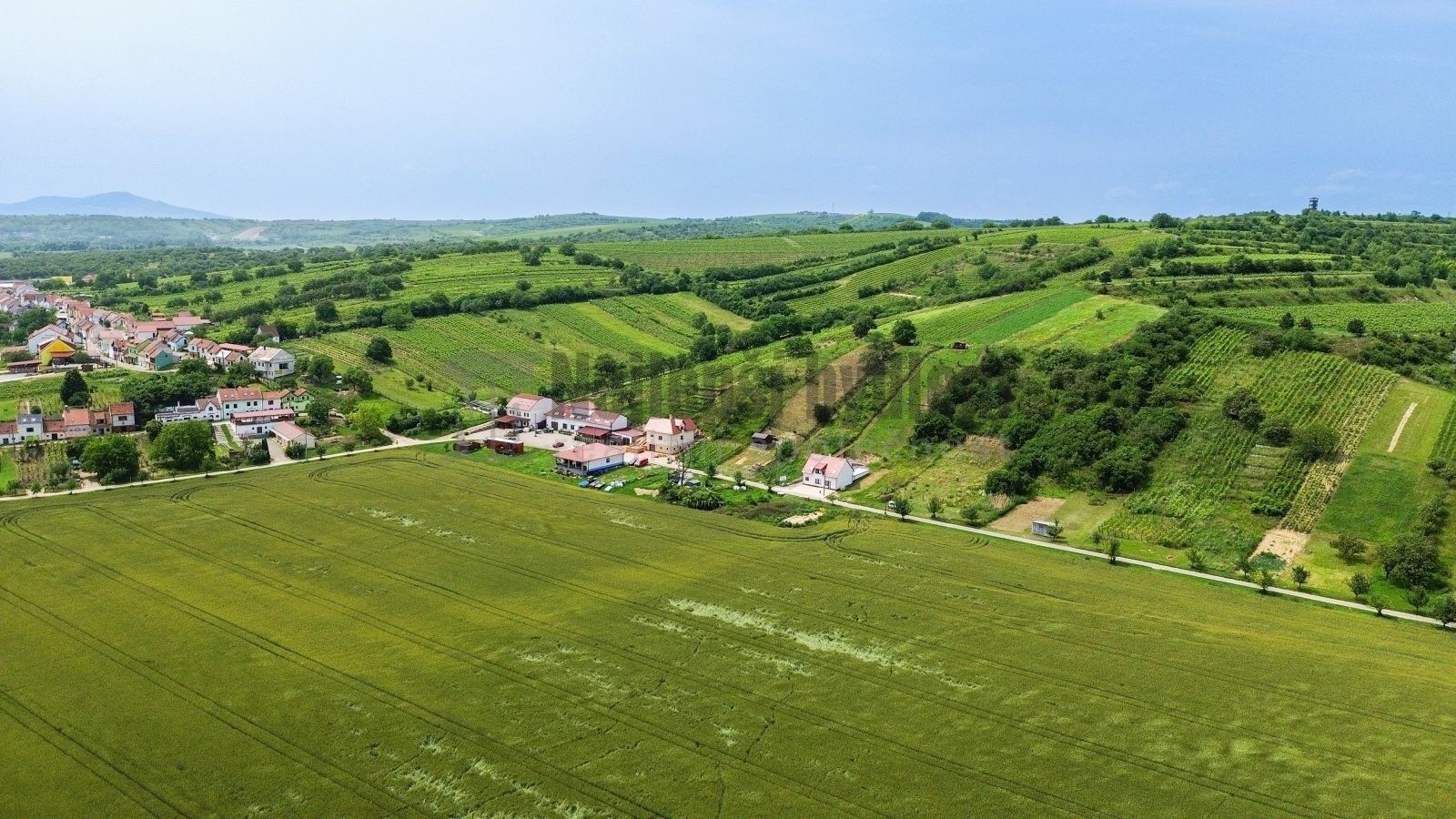 Pozemky pro bydlení, Bořetice,Bořetice, 3 395 m²