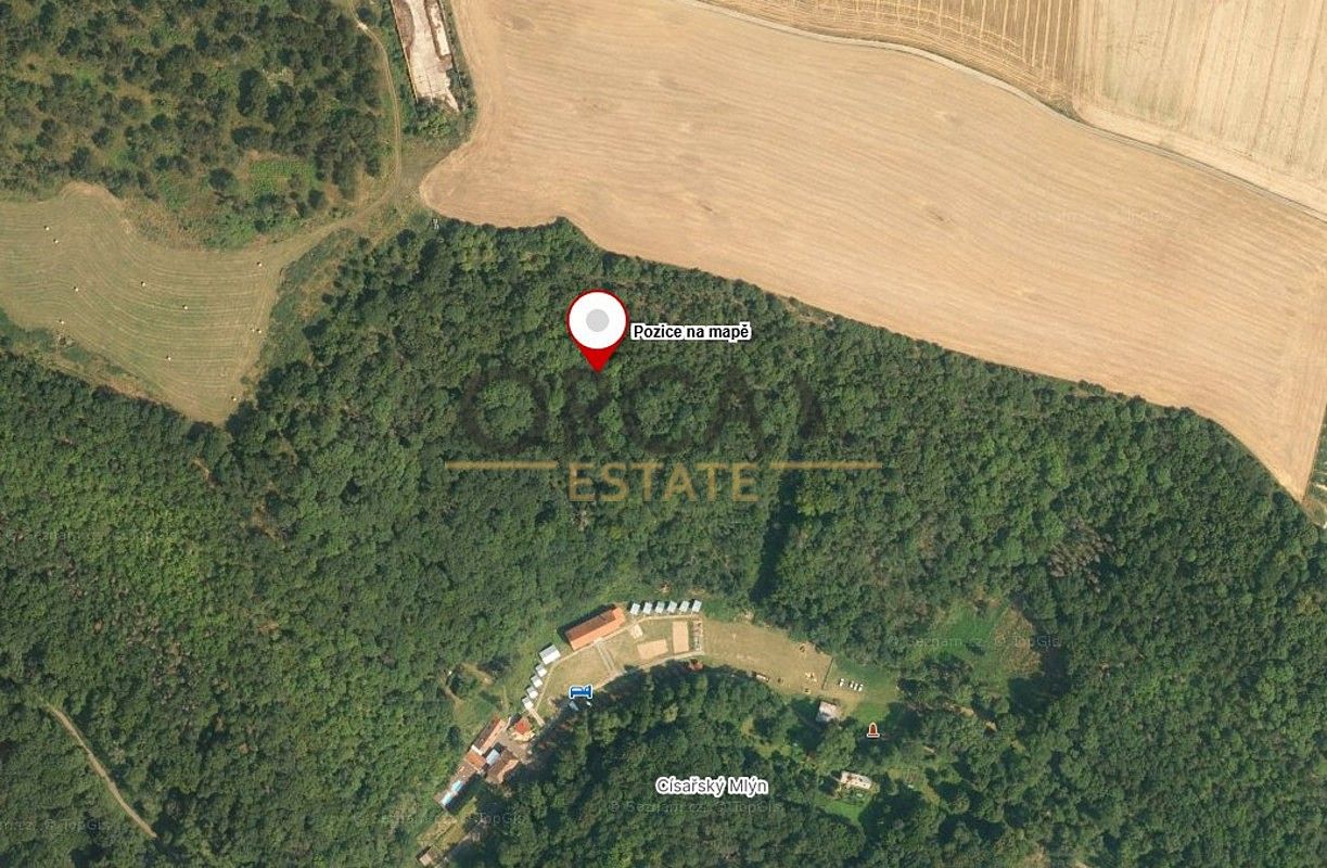 Les · Malé Žernoseky, okres Litoměřice, Ústecký kraj - 4