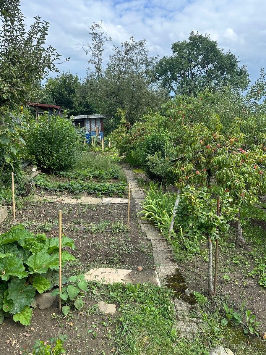 Zahrady, Zlín, 760 01