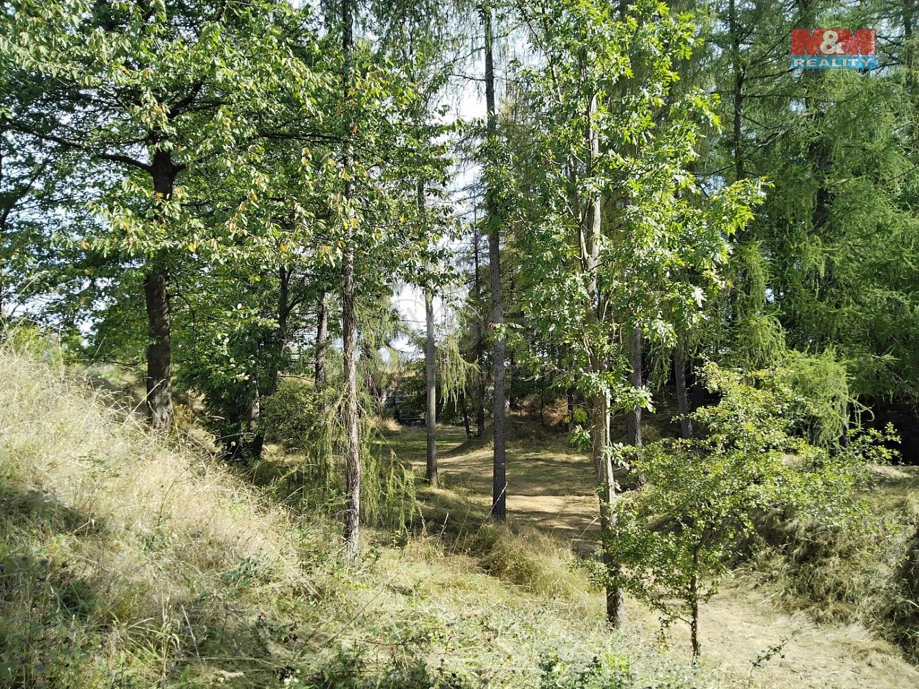 Pozemek · Razová, okres Bruntál, Moravskoslezský kraj - 3