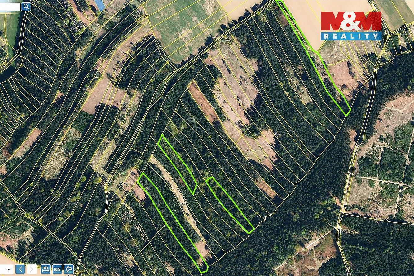 Prodej les - Moraveč, okres Pelhřimov, Kraj Vysočina - 5