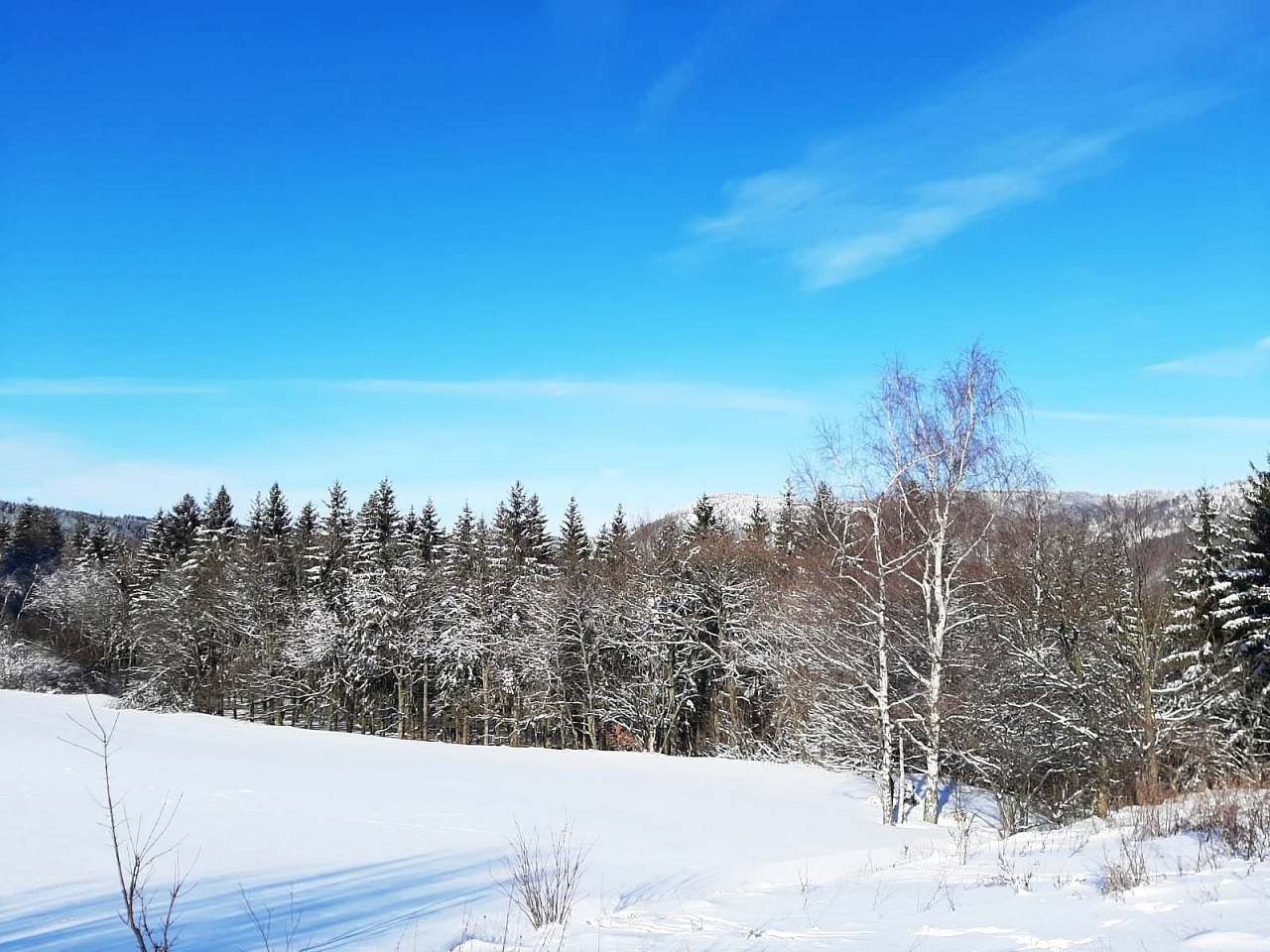 Chata · Klíny - Rašov u Litvínova, Ústecký kraj - 3