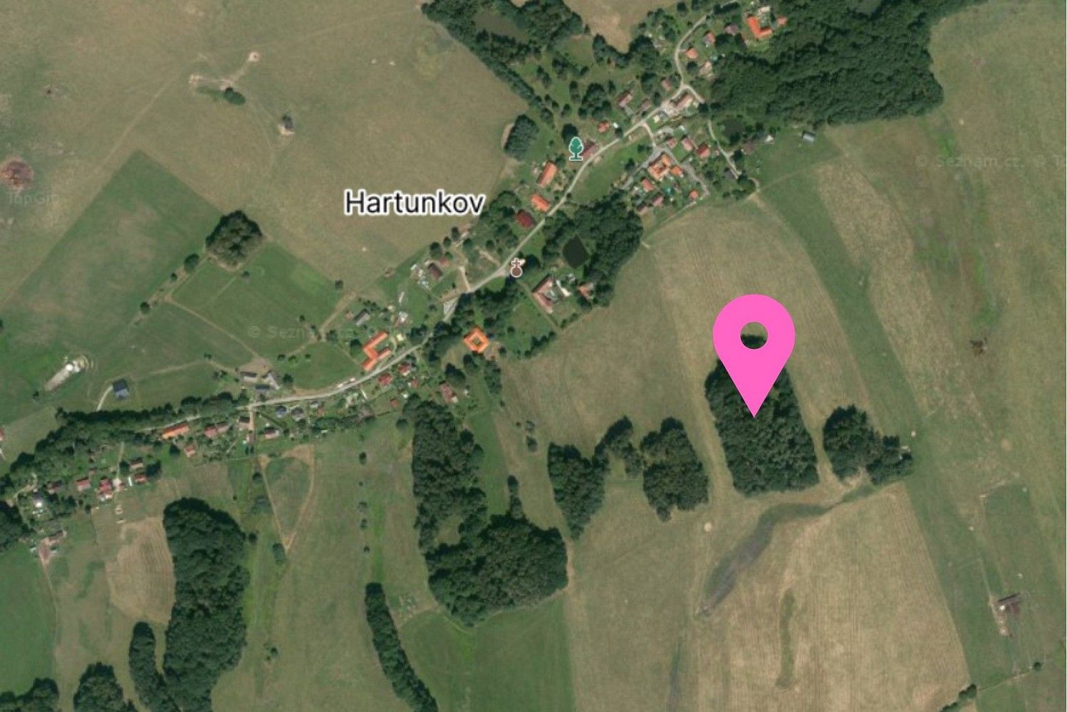 Les · Benešov nad Černou - Hartunkov, okres Český Krumlov - 3