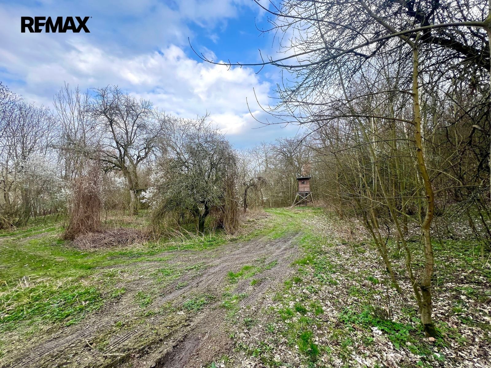 Zahrady, Žatec, 6 042 m² - 1