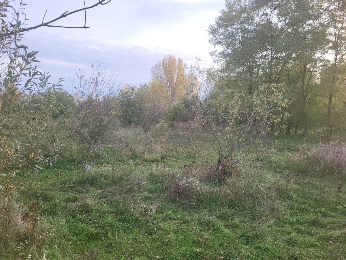 Prodej pozemek pro bydlení - Štětí, 411 08