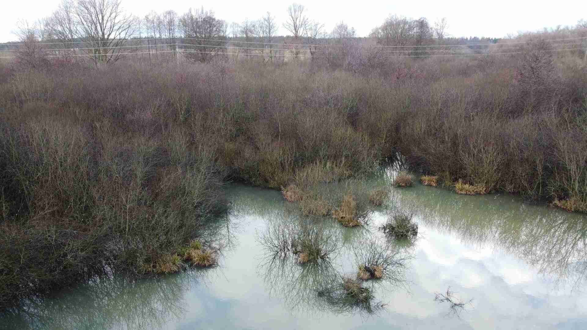 Prodej pozemek - Nové Hrady Štiptoň, 35 772 m² - 5